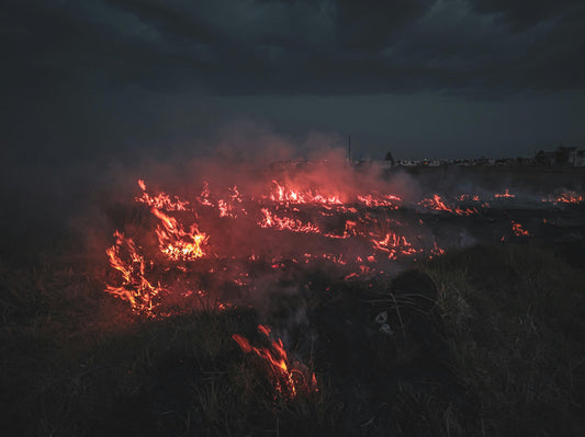 Climate-Fueled Wildfires in 2025: When Nature Strikes Back