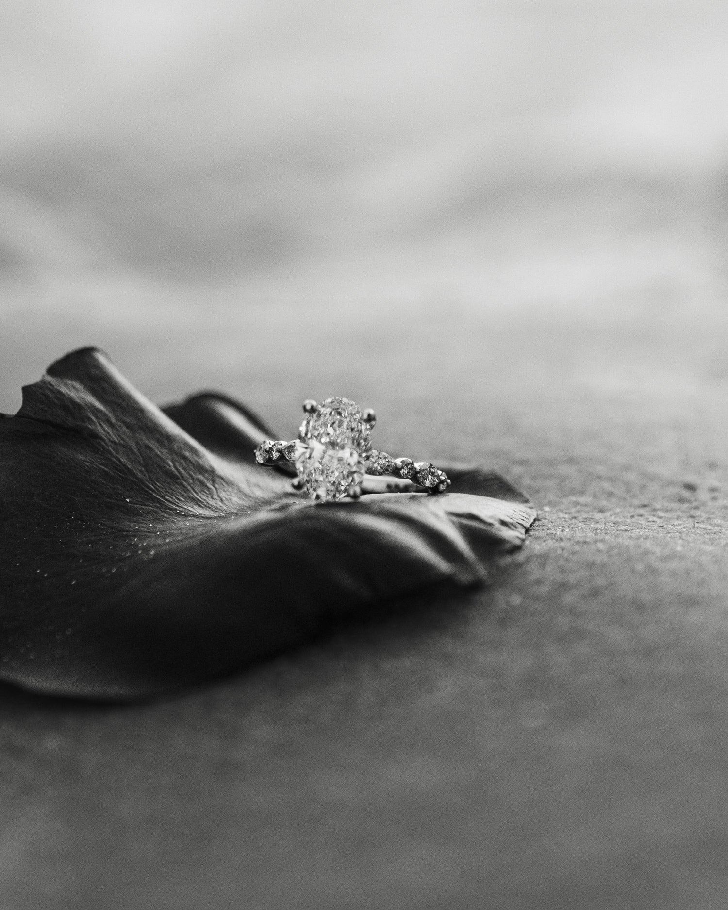 VELTORI Diamond Touch