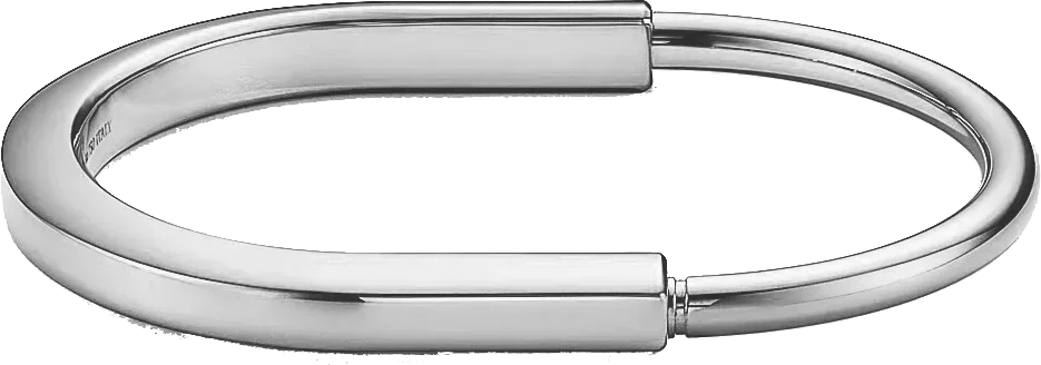 Aurion | S925 Silver | 18K Gold-Plated Bangle