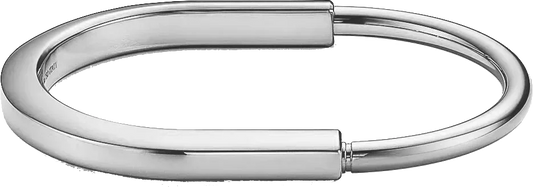 Aurion | S925 Silver | 18K Gold-Plated Bangle