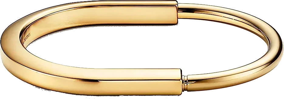 Aurion | S925 Silver | 18K Gold-Plated Bangle