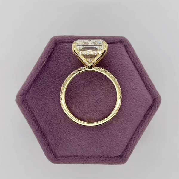 Solarél — Radiant Promise