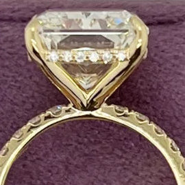 Solarél — Radiant Promise