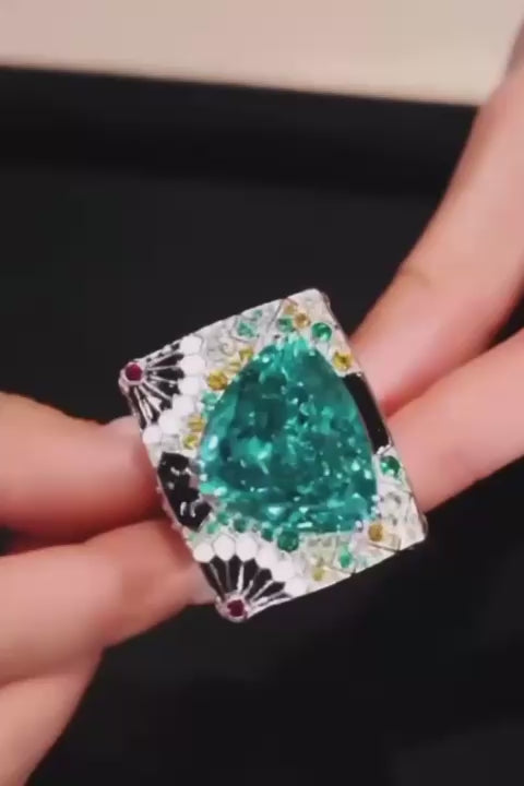 Paralisse — Paraiba Radiance