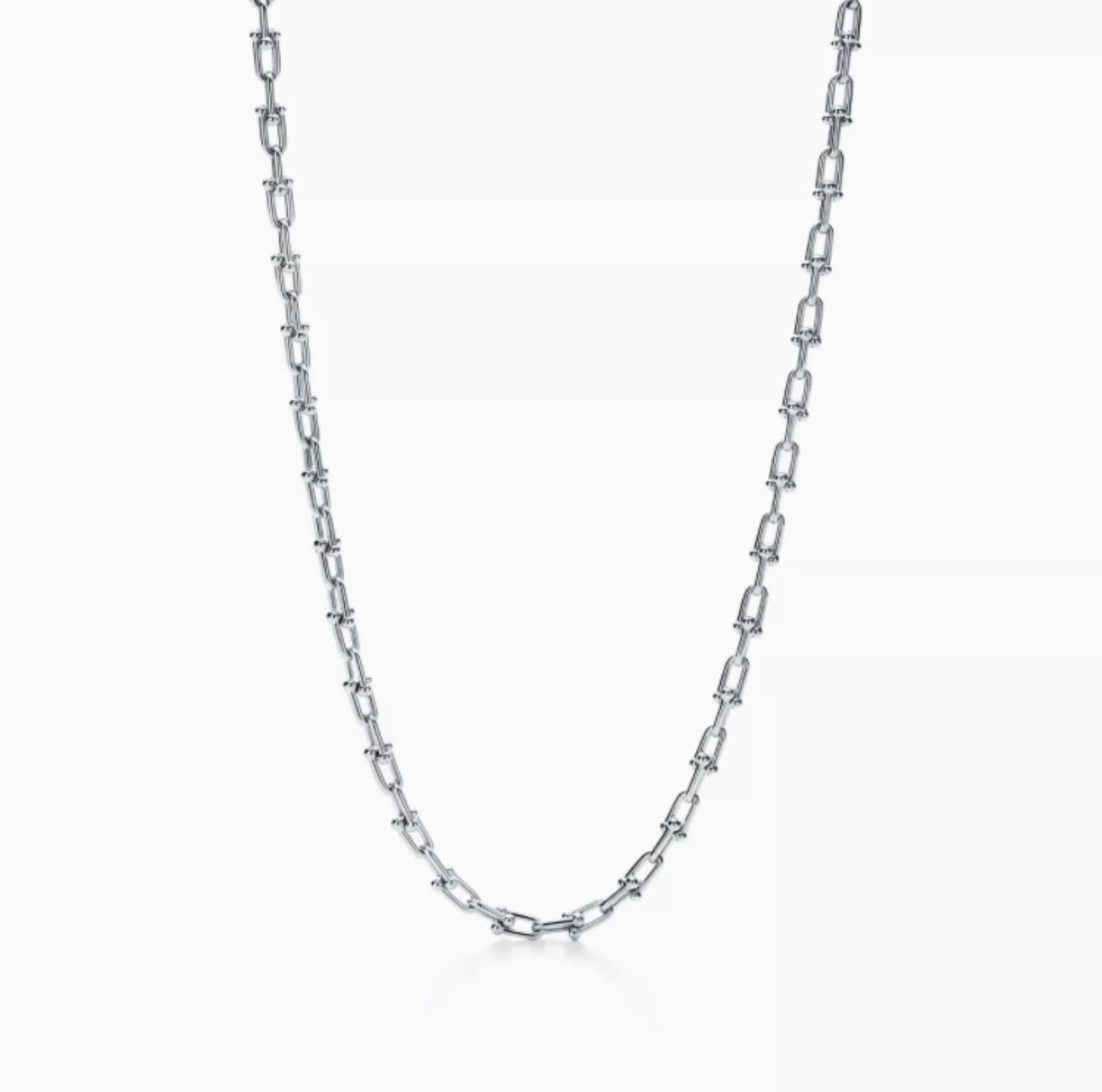 Silver chain Horsebit link design necklace on a white background